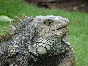 Parque Bolivar